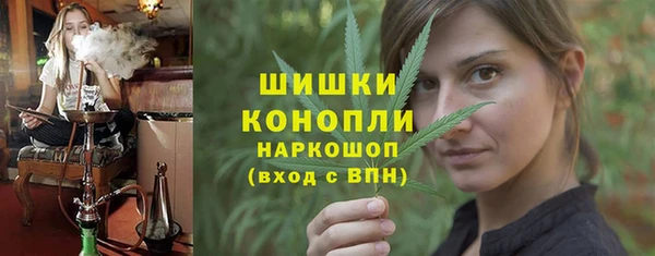 индика Абинск