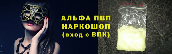 индика Абинск