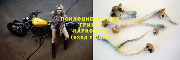 индика Абинск