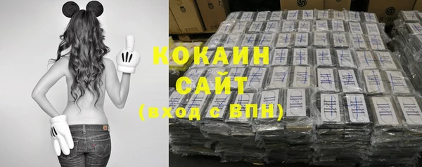 индика Абинск