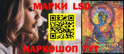 ALPHA PVP Нальчик