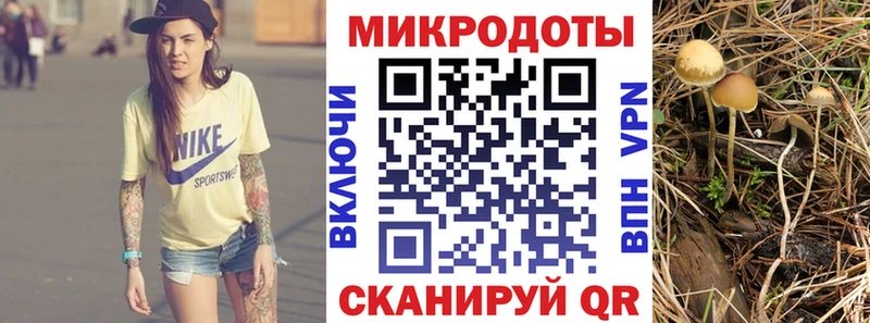 Галлюциногенные грибы прущие грибы  mega сайт  Шумерля 