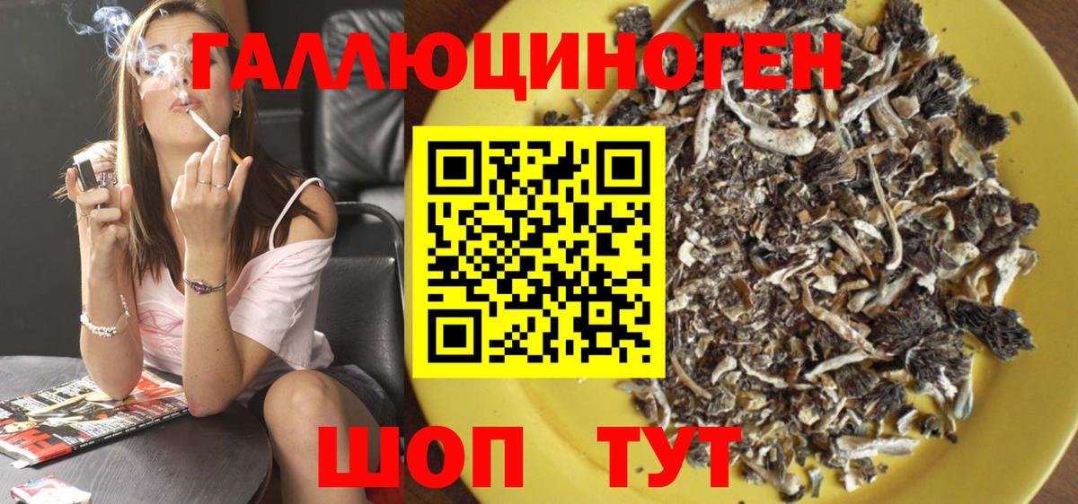 Шумерля  Галлюциногенные грибы GOLDEN TEACHER  купить закладку  Вход с VPN 